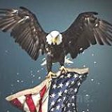 Profile picture of Administrator 1776