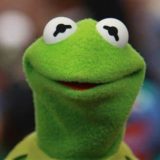 Profile picture of Kermit The Frog