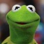 Profile picture of Kermit The Frog